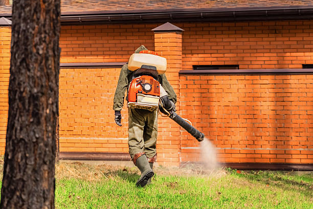 Top rated local Termite Control specialists in Prospect Park, PA